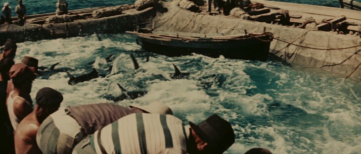 Conférences À bord cinéma  Embarquez avec Patrick Leboutte