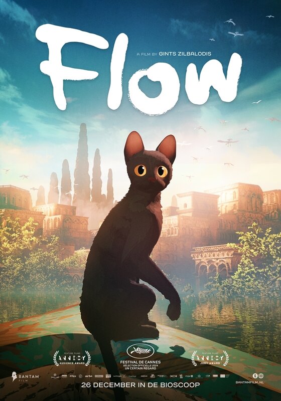 Spectacles Projection  Flow, chat n avait plus peur l eau 