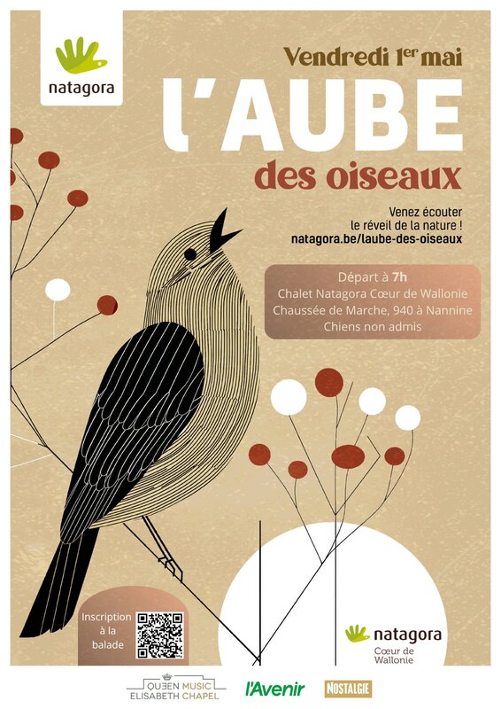 Loisirs Aube oiseaux