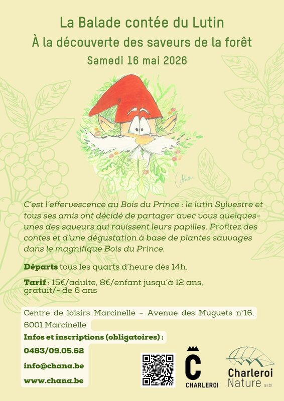 Loisirs Balade gourmande contée bois Prince