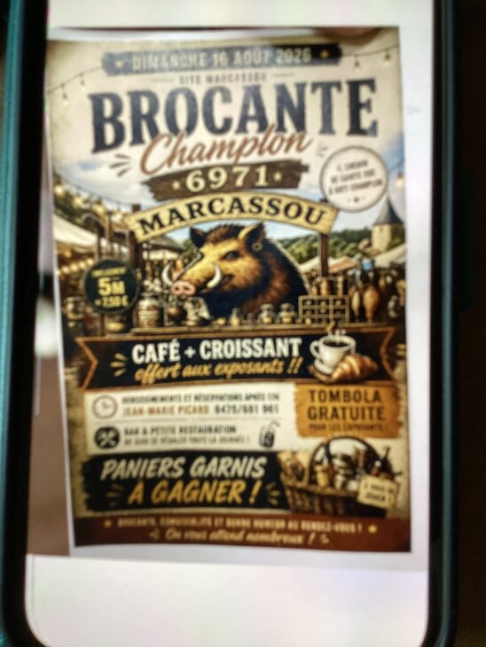  Brocante le site marcassou