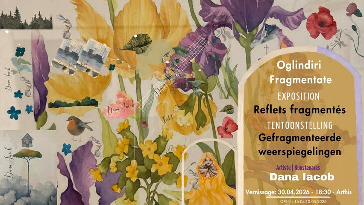 Expositions Vernissage :  Reflets Fragmentés  Exposition Dana Iacob