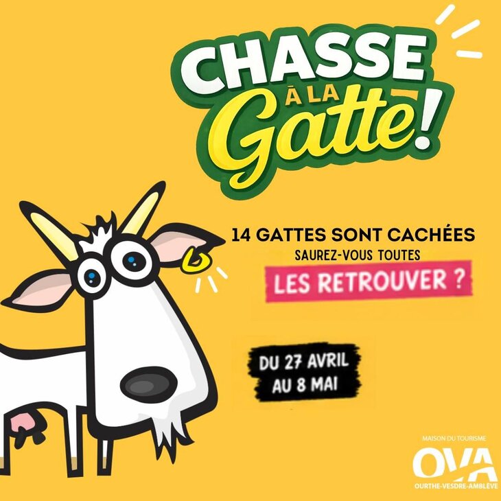 Loisirs Chasse la Gatte