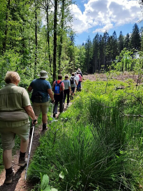 Loisirs Semaine marche pour 50+