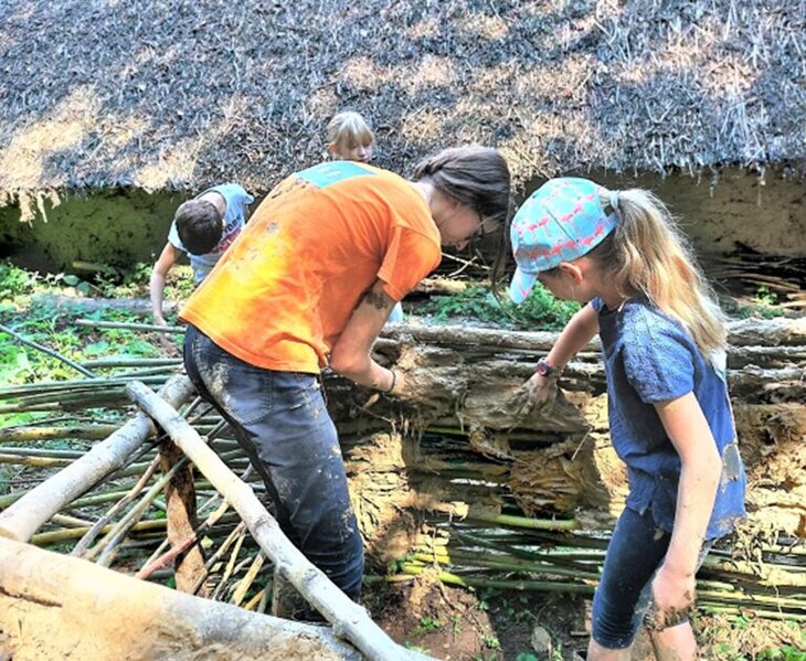 Stages,cours Stage Archéologue herbe