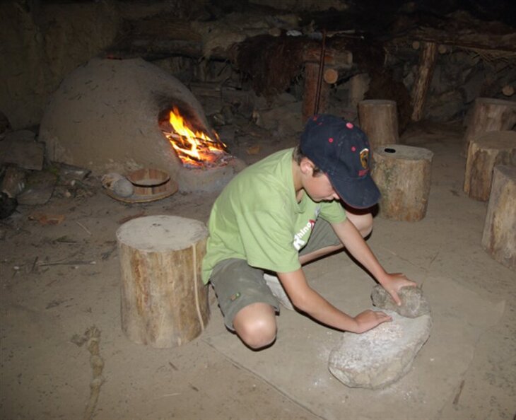 Stages,cours Stage Premiers fermiers