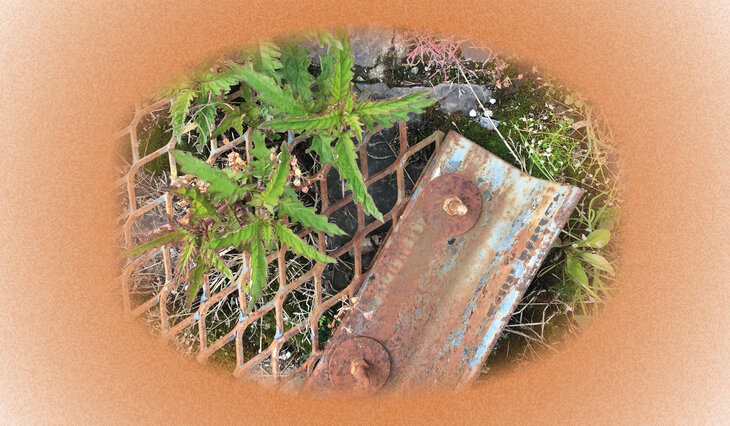 Stages,cours Ce se dépose ce s’emporte