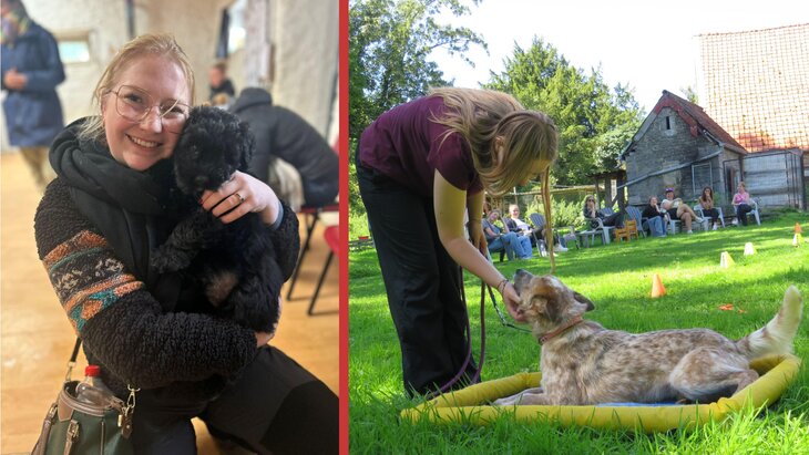 Conférences Séance d informations gratuite la médiation animale, zoothérapie