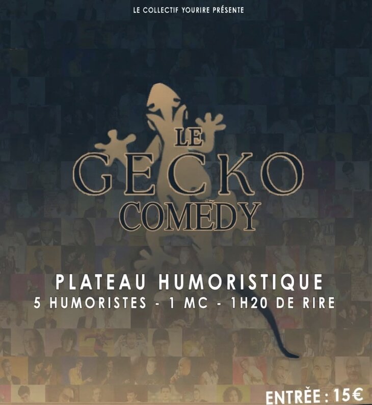 Spectacles Stand Up / Comedy Show / Humour Gecko