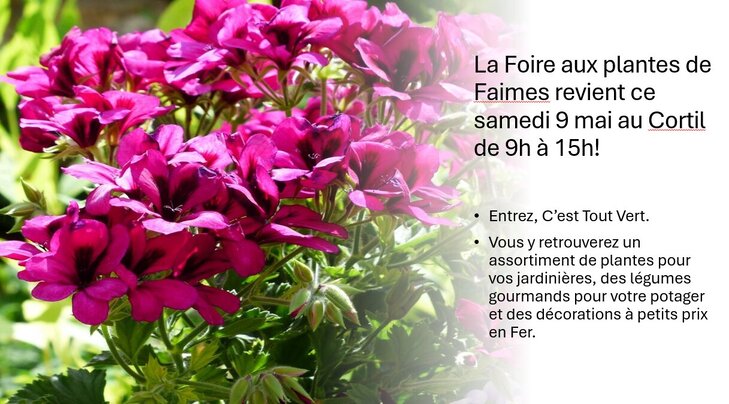 Loisirs Bourses plantes
