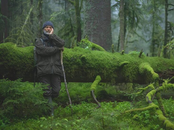 Spectacles Le chant forêts - soirée