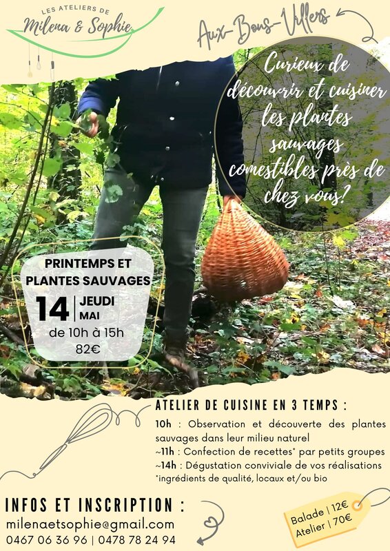 Stages,cours Atelier printemps plantes sauvages