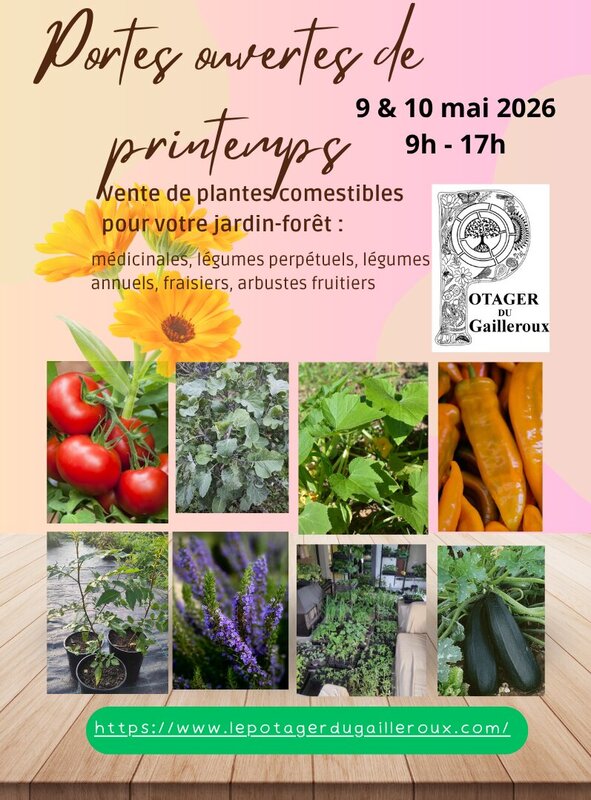 Loisirs Portes ouvertes printemps Potager Gailleroux, plants pour potager