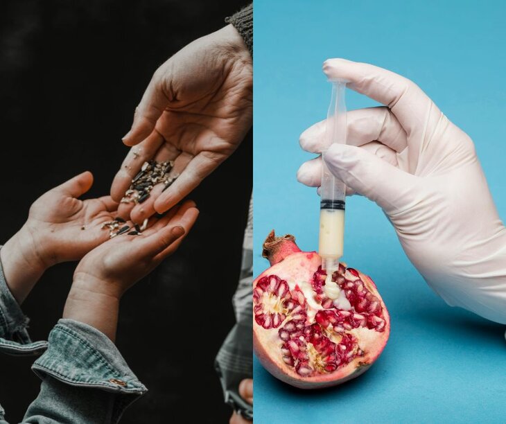 Conférences Conférence-débat : Organismes génétiquement modifiés portes l’Europe