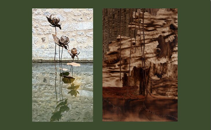 Expositions What Grows the Schadows