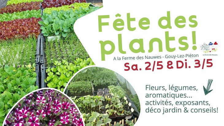 Loisirs Fête plants