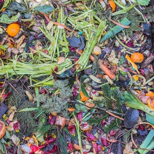 Loisirs Que passe-t-il réellement dans compost ?