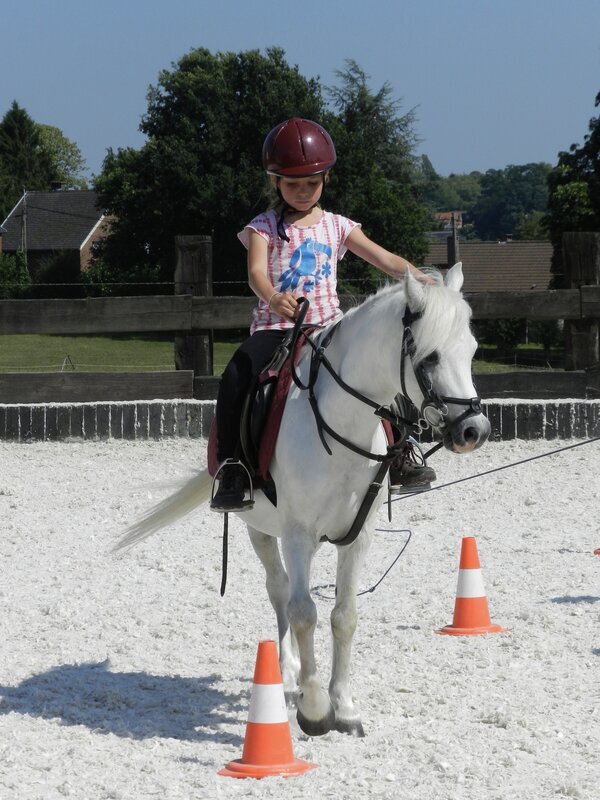 Stages,cours Stage d équitation pour enfants adolescents