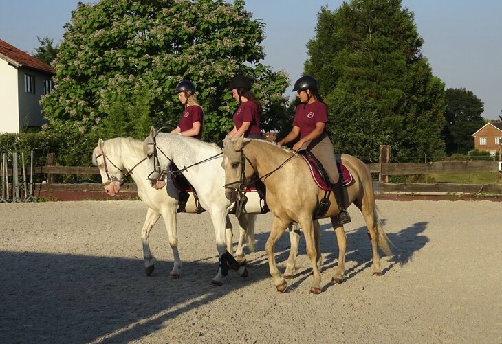 Stages,cours Stage d équitation pour enfants adolescents