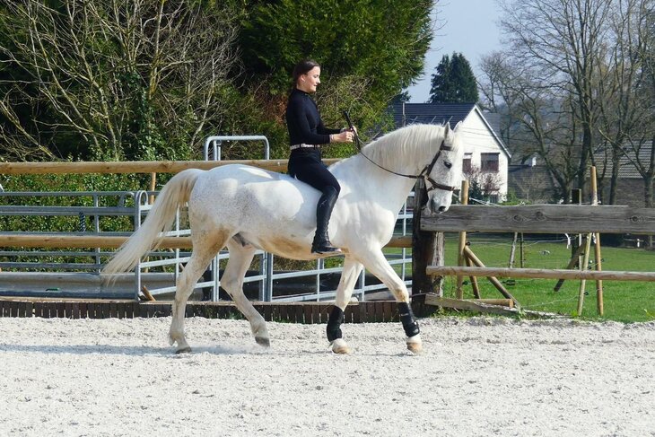 Stages,cours Stage d équitation pour enfants adolescents