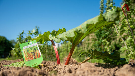 Loisirs Paroles jardiniers avec jardiniers Villeneuve d Ascq