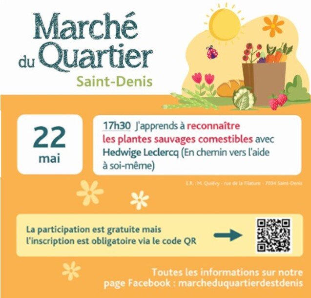 Loisirs Balade plantes sauvages comestibles