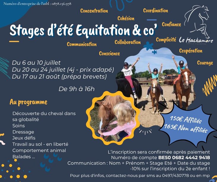 Stages,cours Stage d équitation & co 