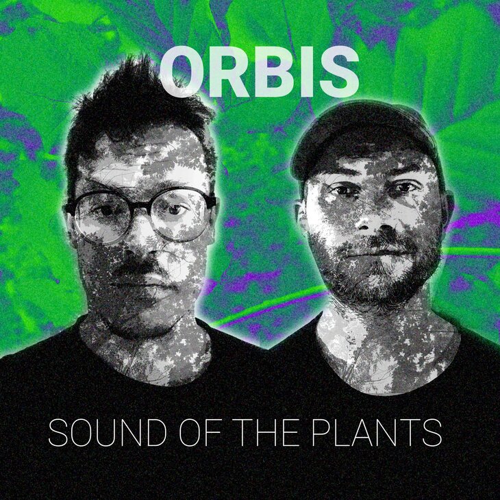 Concerts Musique Plantes