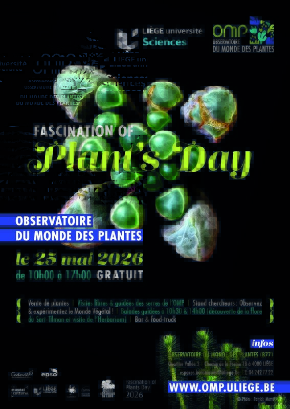 Loisirs Fascination Plants  Day