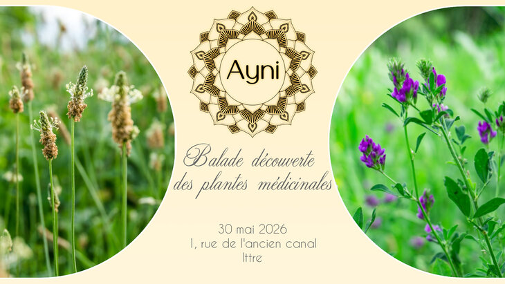 Loisirs Balade découverte plantes médicinales