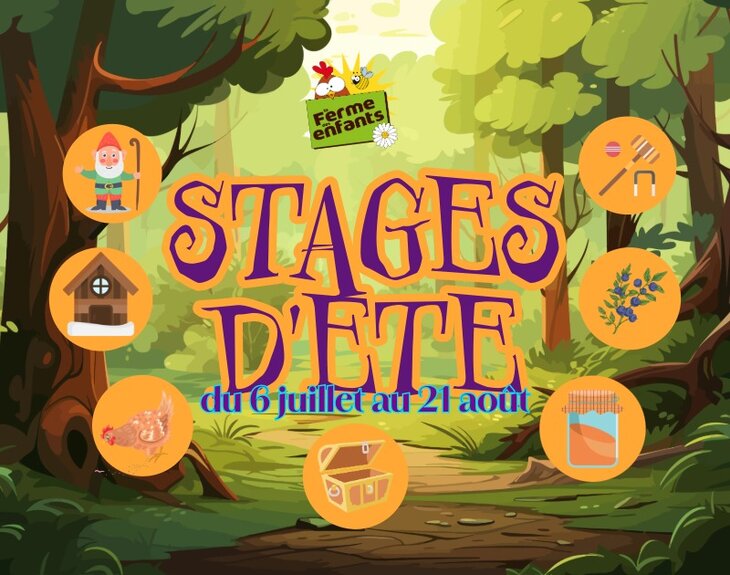 Stages,cours Stages d été