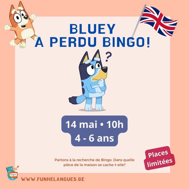 Stages,cours Bluey a perdu Bingo 