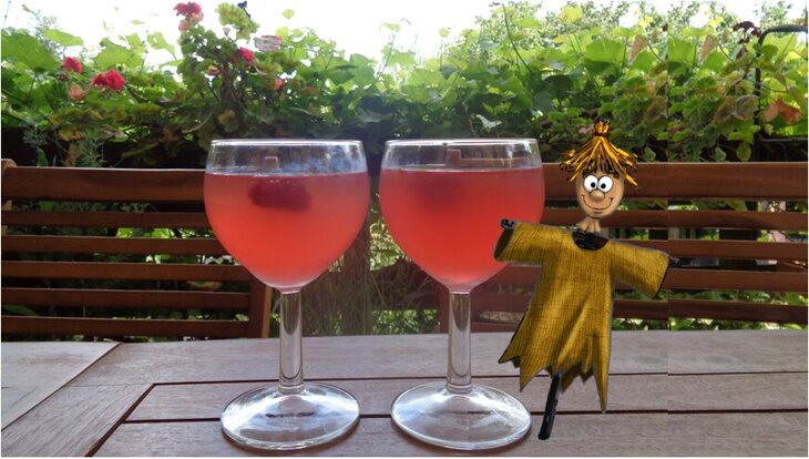 Stages,cours La découverte apéros jardin