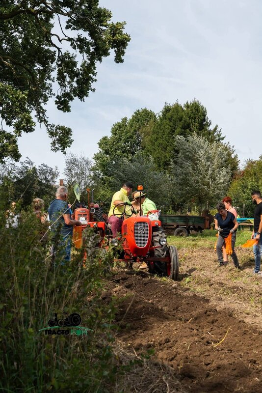 Loisirs Plantation patates l ancienne ouverture la pépinière 
