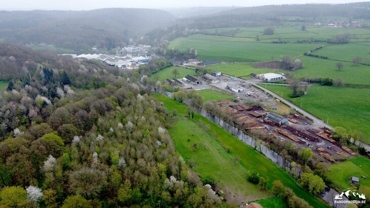Loisirs Balades: Plantes sauvages comestibles dans campagne autour Welkenraedt