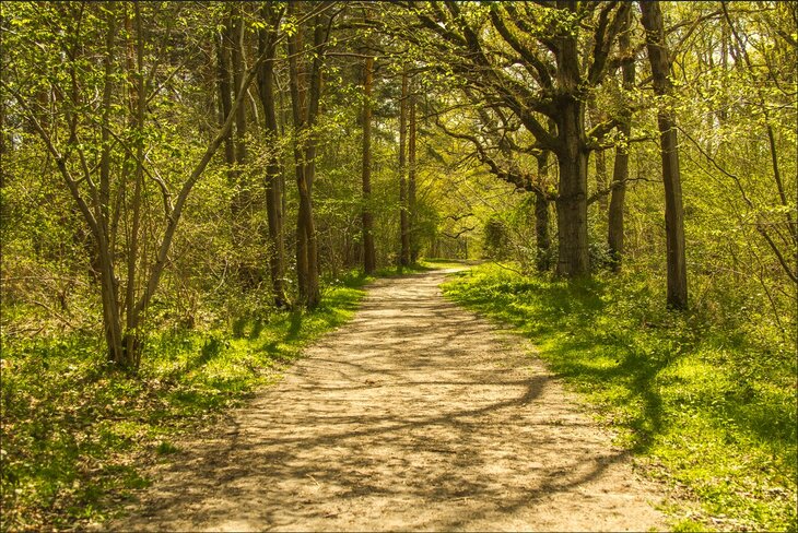 Loisirs Balade  Entre haies nature 