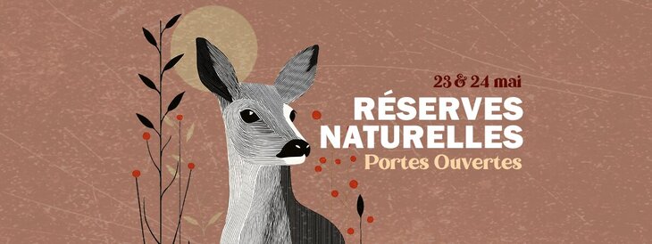 Loisirs Découverte botanique la réserve naturelle Sclaigneaux