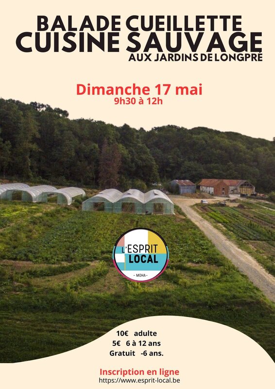 Loisirs Balade cueillette cuisine sauvage