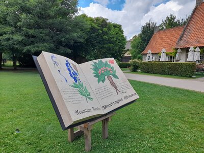 Loisirs Salon livre