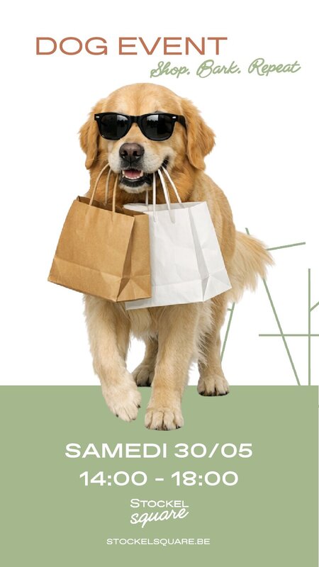 Loisirs Dog Event Stockel Square