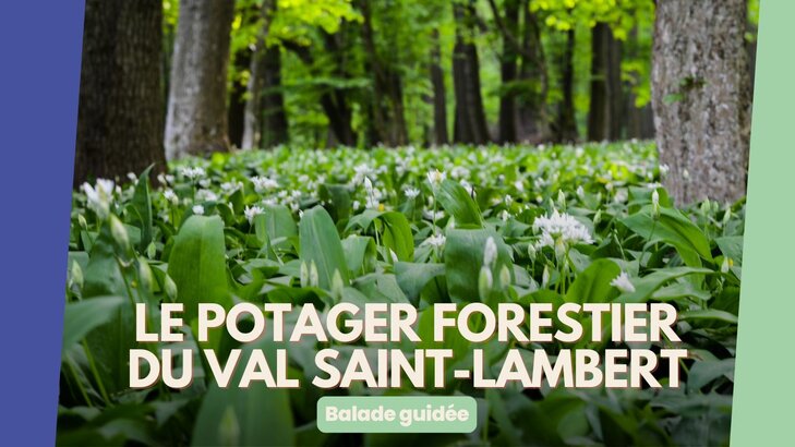 Loisirs Le potager forestier Val Saint-Lambert