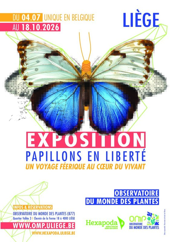 Loisirs Papillons liberté