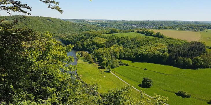 Loisirs Balades: Plantes sauvages comestibles dans campagne d Esneux