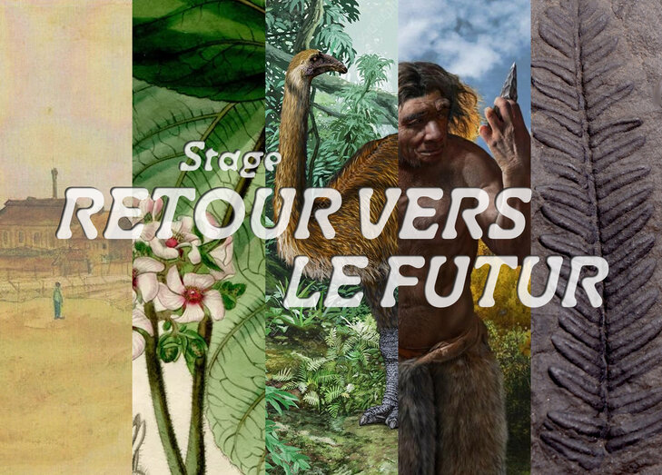 Stages,cours Retour vers futur