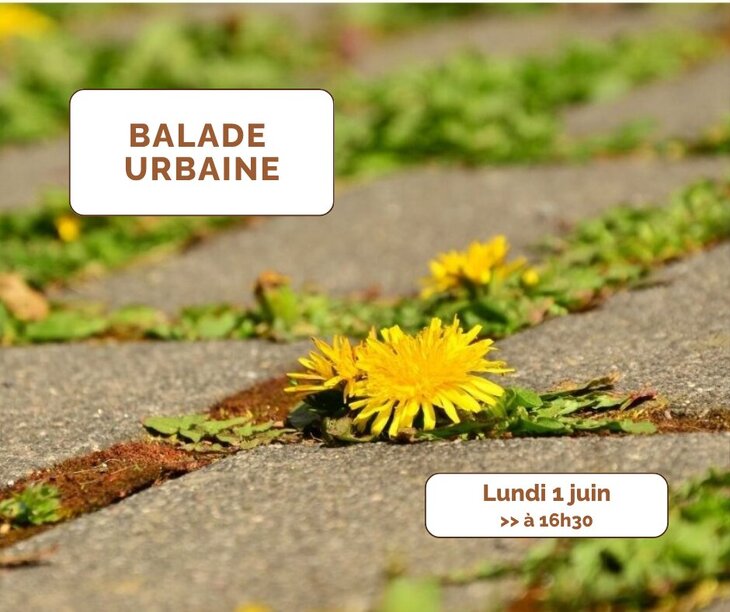 Loisirs Balade nature urbaine