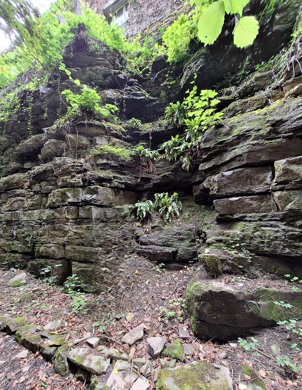 Loisirs Journée découverte nature, culture histoire Wallonie picarde