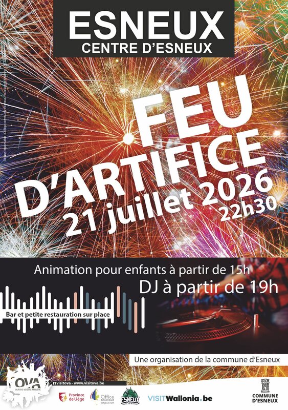 Loisirs Feu d artifice