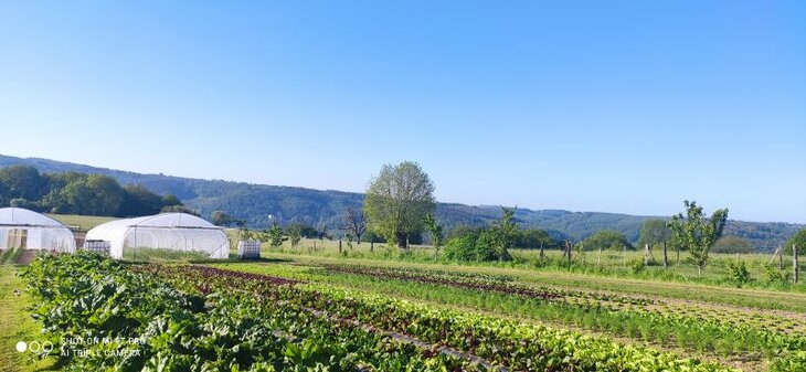 Loisirs Visite champs la Ferme dans l assiette