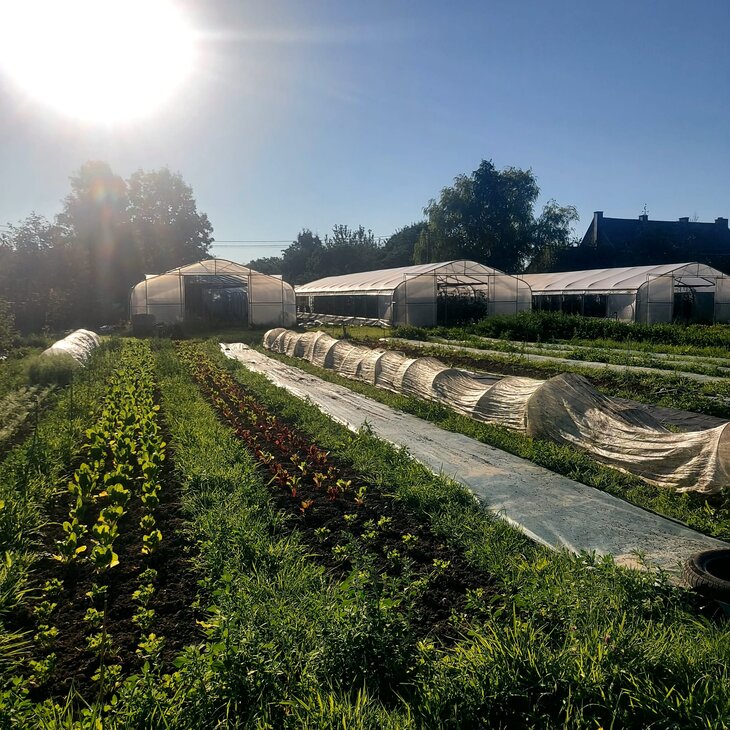 Loisirs Champs ouvert visite l’exploitation Petits Paniers Flo