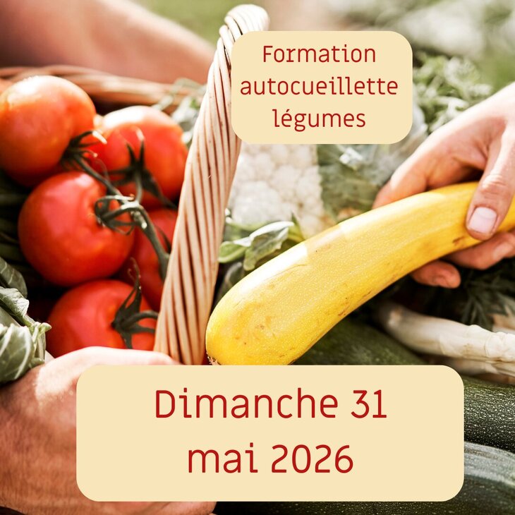 Stages,cours Formation l’auto-cueillette légumes